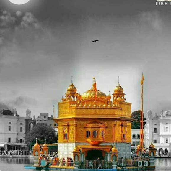 Meet your Posher, Amandeep - Picture 1 of 1